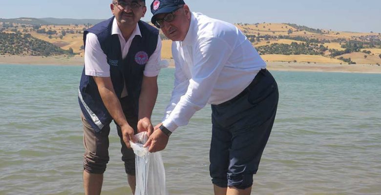 KARTALKAYA BARAJ GÖLÜNE YAVRU SAZAN BALIĞI BIRAKILDI