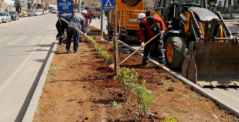 Cadde ve Bulvarlar Bitkilerle Donatılıyor