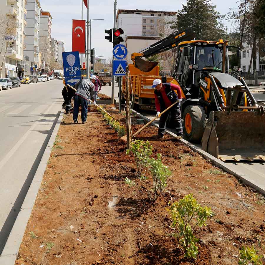 Büyükşehir Belediyesi, Kapıçam Mezarlığı ve Ahır Dağı Caddesi’nde yüzlerce ağacı