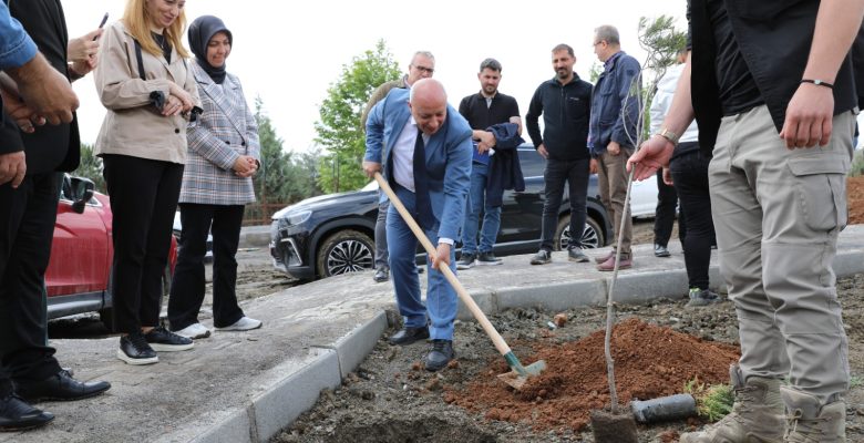 KARACASU KAMPÜSÜ AĞAÇLANDIRILDI