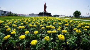 Kahramanmaraş Büyükşehir Belediyesi, kent estetiğini artırmak için kavşak, bulvar ve