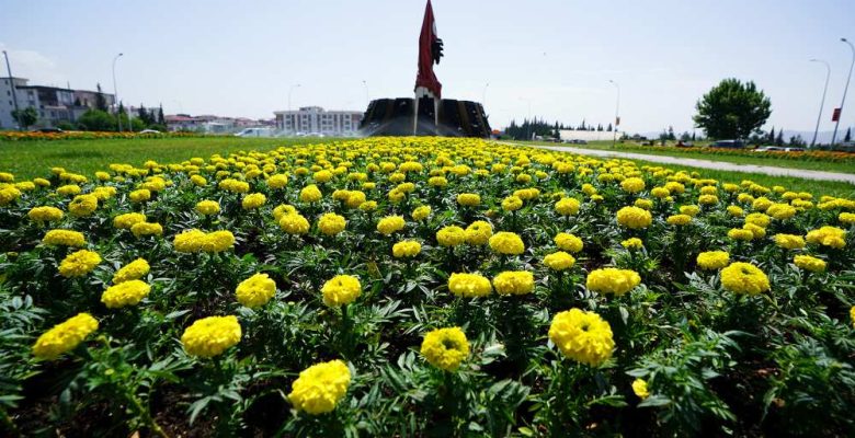 Kahramanmaraş Çiçek Açıyor