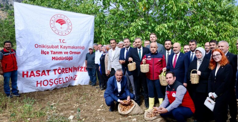 Başkan Toptaş, AB Tescilli Cevizlerin Hasat Şenliğine Katıldı