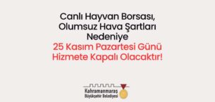 Canlı Hayvan Borsası, Pazartesi Günü Kapalı Olacak!