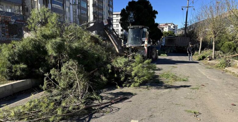 Büyükşehir, Fırtınanın Oluşturduğu Tahribatı Ortadan Kaldırıyor