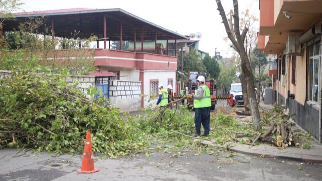 Dulkadiroğlu Belediyesi’nden Yeşil Alan Çalışmalarına Tam Destek