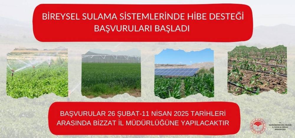 Resmi Gazete’de yayınlanmış 25 Şubat 2021 tarih ve 31406 sayılı
