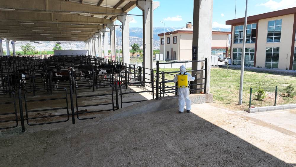 Büyükşehir Belediyesi, Kurban Bayramı öncesi yoğunluğun yaşandığı alanların başında
gelen Canlı