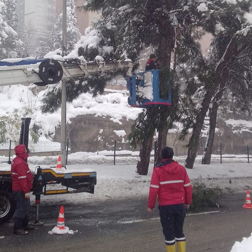 Kahramanmaraş Büyükşehir Belediyesi, kar yağışının ardından ağaç dallarında oluşan kırılma