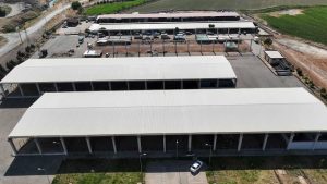 Kurban Bayramı öncesi besiciler, Canlı Hayvan Borsası’nda yerini almaya başladı.