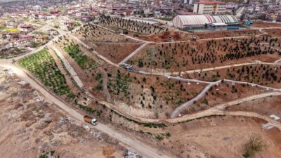 Büyükşehir Belediyesinin ‘Yeşil Dönüşüm’ prensibi ile Malik Ejder Mahallesi’nde 75