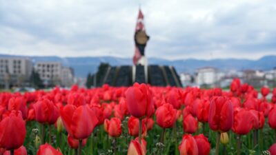 Kahramanmaraş Büyükşehir Belediyesi’nin şehir estetiğini güçlendirmek amacıyla sürdürdüğü peyzaj çalışmaları