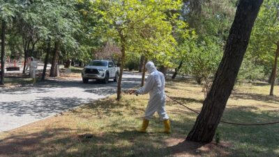 Kahramanmaraş Büyükşehir Belediyesi, yaz aylarında artış gösteren kene ve diğer