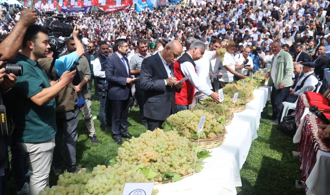 Dulkadiroğlu Belediyesi tarafından geleneksel hale getirilen Bertiz Boyalı Güreş Festivali,