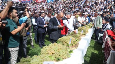 Dulkadiroğlu Belediyesi tarafından geleneksel hale getirilen Bertiz Boyalı Güreş Festivali,