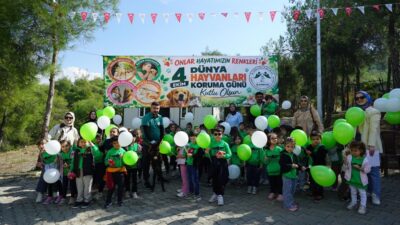 Büyükşehir Belediyesi ve Sahipsiz Hayvanları Koruma Birliği, 
Dünya Hayvanları Koruma