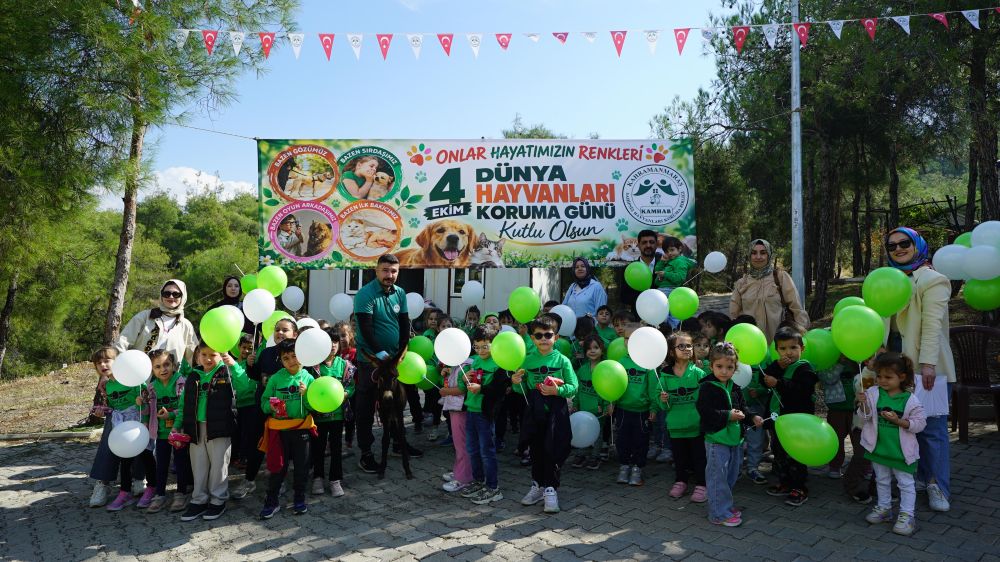 Büyükşehir Belediyesi ve Sahipsiz Hayvanları Koruma Birliği, 
Dünya Hayvanları Koruma