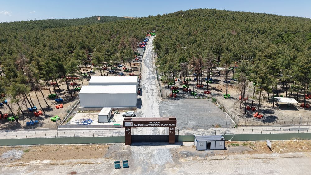 Kapıçam ve Elbistan’daki modern bakımevlerinde yürütülen çalışmalarda bu yıl 
3